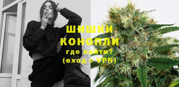 мет Дмитров