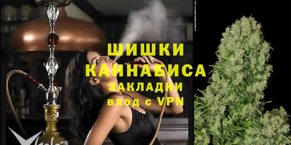 мет Дмитров