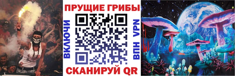 Купить закладки  Чишмы  Псилоцибиновые грибы Psilocybine cubensis 